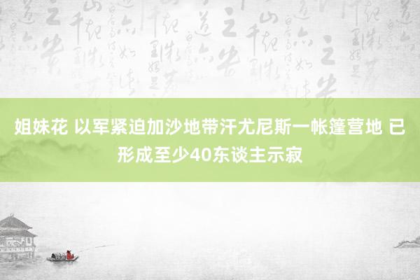 姐妹花 以军紧迫加沙地带汗尤尼斯一帐篷营地 已形成至少40东谈主示寂