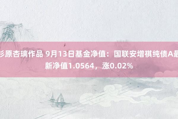 杉原杏璃作品 9月13日基金净值：国联安增祺纯债A最新净值1.0564，涨0.02%