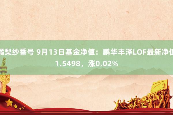 橘梨纱番号 9月13日基金净值：鹏华丰泽LOF最新净值1.5498，涨0.02%