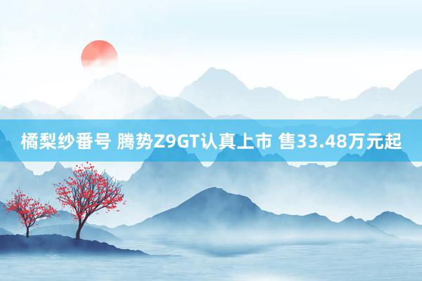 橘梨纱番号 腾势Z9GT认真上市 售33.48万元起