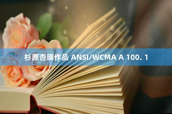 杉原杏璃作品 ANSI/WCMA A 100. 1