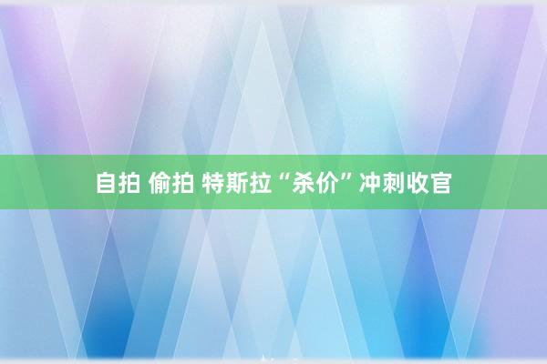 自拍 偷拍 特斯拉“杀价”冲刺收官