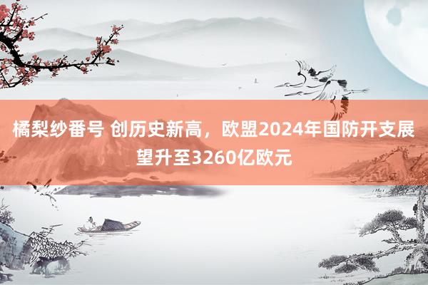 橘梨纱番号 创历史新高，欧盟2024年国防开支展望升至3260亿欧元