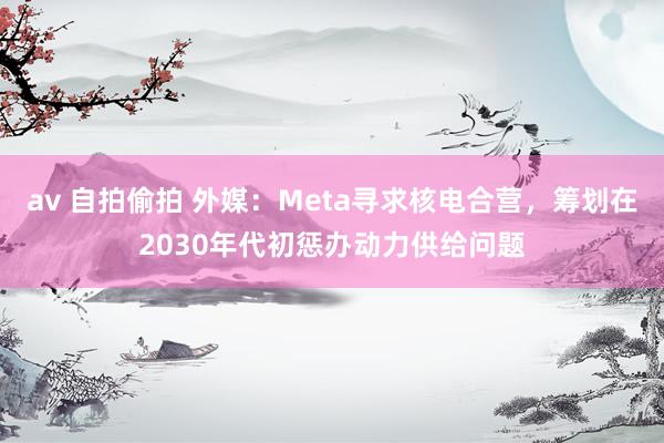 av 自拍偷拍 外媒：Meta寻求核电合营，筹划在2030年代初惩办动力供给问题