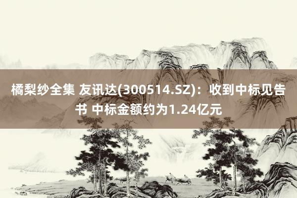 橘梨纱全集 友讯达(300514.SZ)：收到中标见告书 中标金额约为1.24亿元