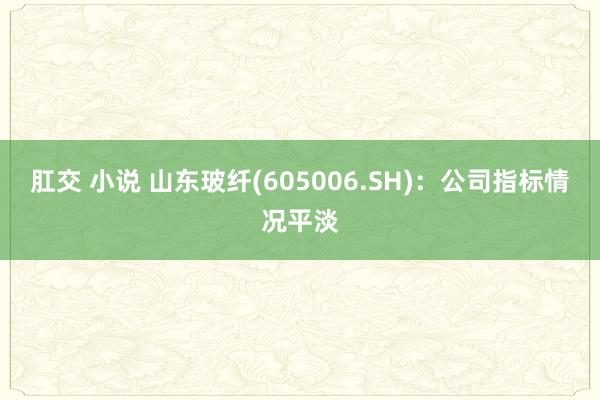 肛交 小说 山东玻纤(605006.SH)：公司指标情况平淡