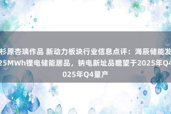 杉原杏璃作品 新动力板块行业信息点评：海辰储能发布6.25MWh锂电储能居品，钠电新址品瞻望于2025年Q4量产