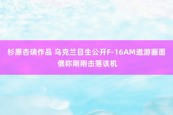 杉原杏璃作品 乌克兰目生公开F-16AM遨游画面 俄称刚刚击落该机