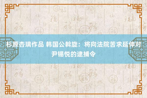 杉原杏璃作品 韩国公斡旋：将向法院苦求延伸对尹锡悦的逮捕令