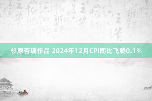 杉原杏璃作品 2024年12月CPI同比飞腾0.1%