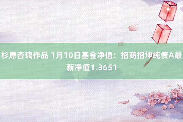 杉原杏璃作品 1月10日基金净值：招商招坤纯债A最新净值1.3651