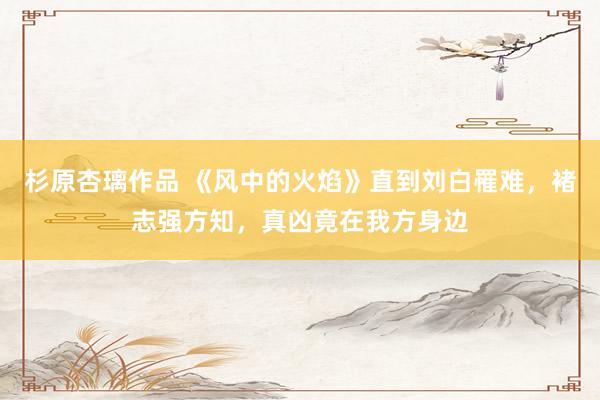 杉原杏璃作品 《风中的火焰》直到刘白罹难，褚志强方知，真凶竟在我方身边