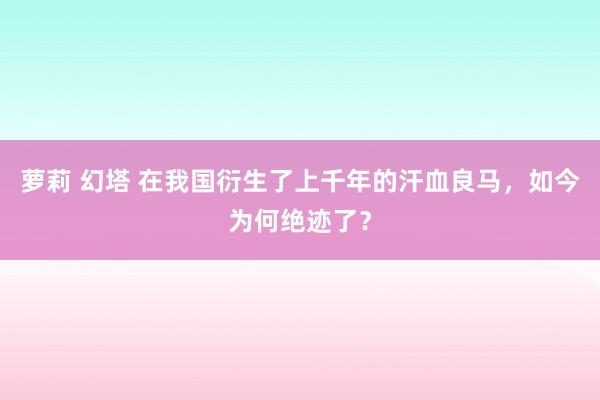 萝莉 幻塔 在我国衍生了上千年的汗血良马，如今为何绝迹了？