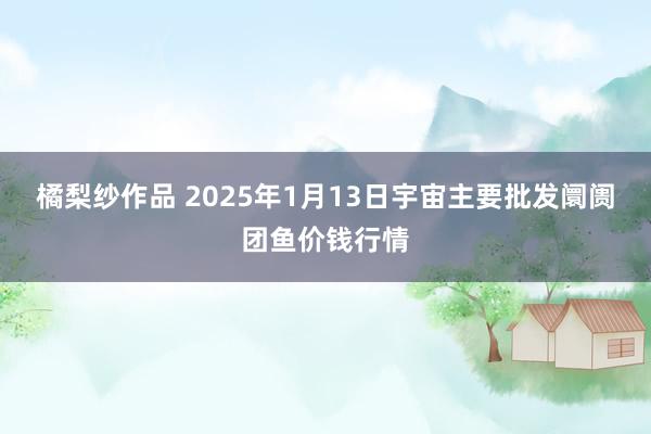 橘梨纱作品 2025年1月13日宇宙主要批发阛阓团鱼价钱行情