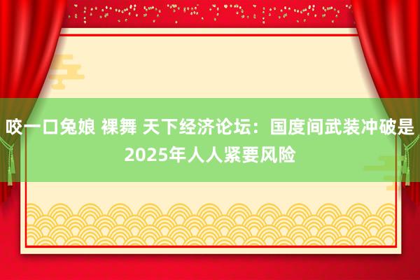 咬一口兔娘 裸舞 天下经济论坛：国度间武装冲破是2025年人人紧要风险