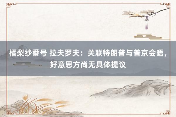 橘梨纱番号 拉夫罗夫：关联特朗普与普京会晤，好意思方尚无具体提议